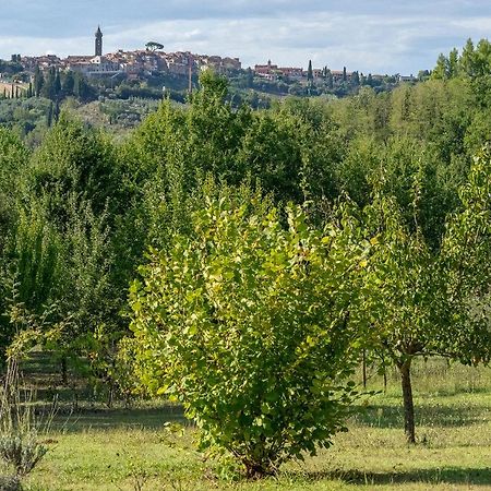 Agriturismo La Valle Peccioli 外观 照片