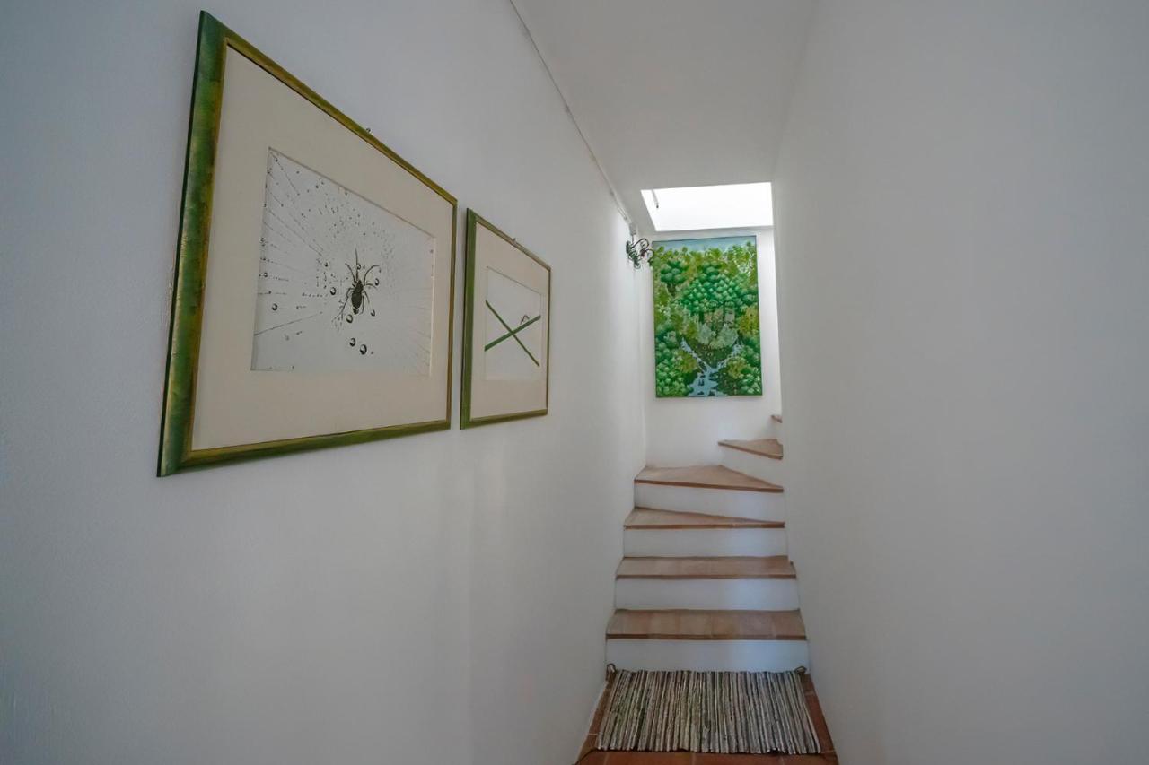 Agriturismo La Valle Peccioli 外观 照片